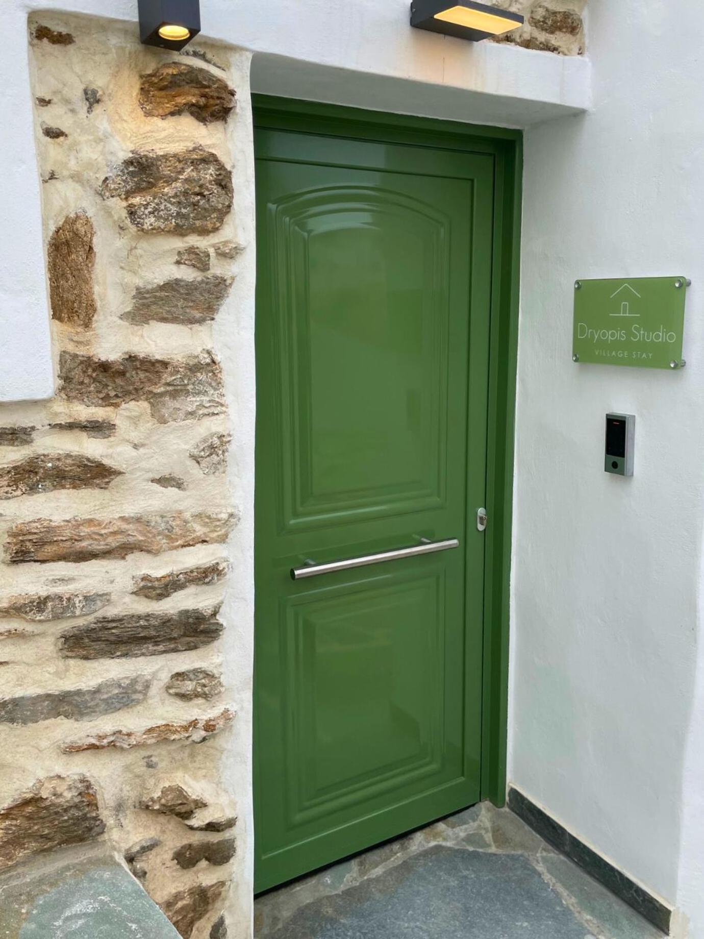 Dryopis Studio Dhriopís Exteriér fotografie